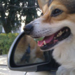 Memories of Max: A Soul Mate Story