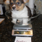 Bentley of Connecticut: Born to Frap!