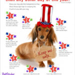 Fireworks and Pet Safety: Don’t Lose YOUR Dog!
