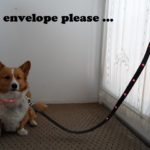 Pet Safety Contest: And The Winners Are …
