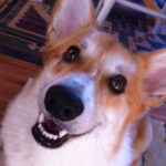 Saturday Smiler: Toby!