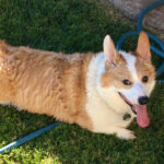 Jake and Lexie of California: A Wink And A Smile!