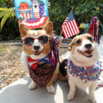 Happy July 4th, U.S.A.!