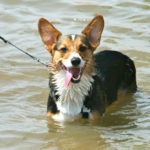 Saturday Smiler: Walter!