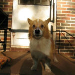 Nate Mooney of California: Saved, Sweet, and Spoiled!