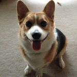 Saturday Smiler: Daisy!