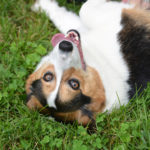 Saturday Smiler: Giggles!