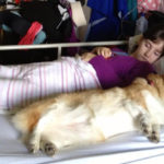 A Girl and Her Corgi