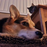 I always feel like somebody’s watchin’ me …