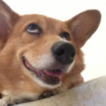 Saturday Smiler: Rosie!