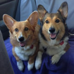 Saturday Smilers: Max and Rosie!