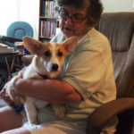 Thursday Adoptables: Tilly And Her Joy