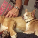 Gabe loves Suzie …