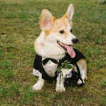 Wally of New Jersey: Ham for the Cam!
