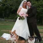 With This Corgi I Thee Wed