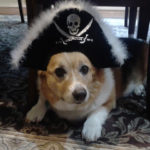 Happy International Talk Like a Pirate Day!