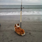 Gone Fishin’ …