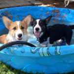 Saturday Smilers: Mahi and Zeus