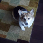 Senior Love & Birthday Wishes: Nicky of Oakland!