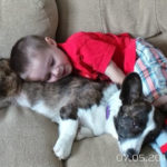 Sunday Snoozers: River And His Boy Cole