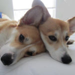 Sunday Snoozaroo: Spots and Cassie
