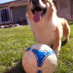 Saturday Smiler: Uno!