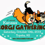 Moving and Shaking With Corgi Connection of Kansas!
