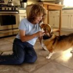 Denby Dog: Changing Hearts, Opening Minds