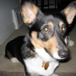 Sophie of Wisconsin