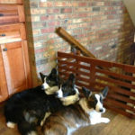 Cardi-licious: Ella, Lincoln and Olathea!