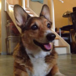 Celebrating Life: Memories of Madi