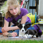 Prizes For the Poetry of Paws: #Pets Add Life!