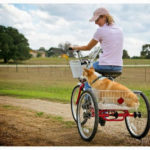 Tricycle Built for Two: Waylon and Virginia