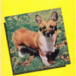 Vintage Corgi Goodness: 1956