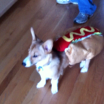 Halloween Happenin’s