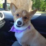 Smile Cam: Abbott!