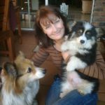 Fluffies Forever! Shilo and Toby of South Africa