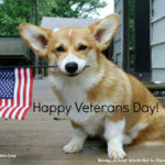 Happy Veterans Day