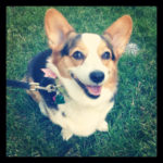 Saturday Smiler: Molly!