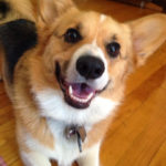 Saturday Smiler: Rosie!