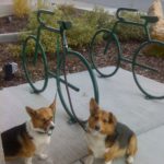 Pipin and Sammy of Utah