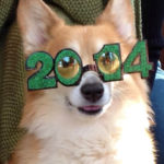 Happy New Year!