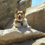 Saturday Smiler: Ein!