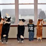 How Cute are Those Corgis in the Window?