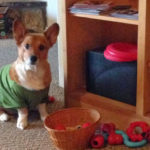 Team Toby Holiday Card Drive Update!