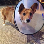 Dateline Team Toby: Is this REALLY necessary?