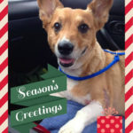 Have Yourself a Toby Little Christmas!