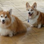 Saturday Smilers: Bacca and Spice!
