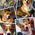Saturday Smiler: Corbin Dallas Multipass!