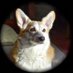 Happy 7th birthday, Royal Trude!